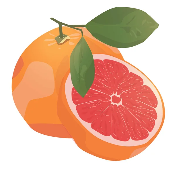 Realistische Citrus Afbeelding Rode Sinaasappelen Vruchten Plakjes Met Blad Geïsoleerd — Stockvector