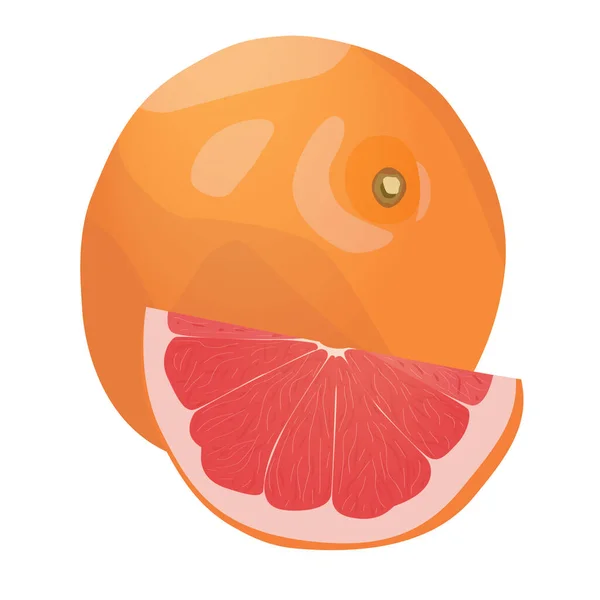 Realistisch Citrusbeeld Rode Sinaasappelen Fruit Plakjes Geïsoleerd Witte Achtergrond Pompelmoezen — Stockvector