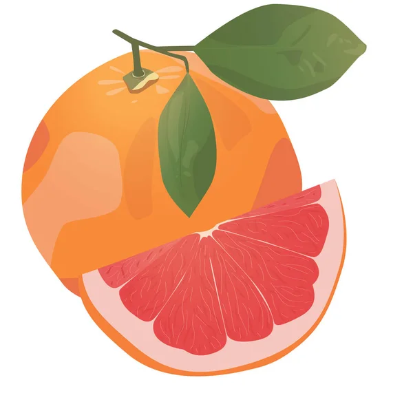 现实的柑橘类图像 红色橙子 水果片 白色背景分离 — 图库矢量图片