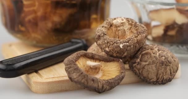 Shitake 버섯, 담가 및 버섯 시간 경과의 증가 조각 — 비디오
