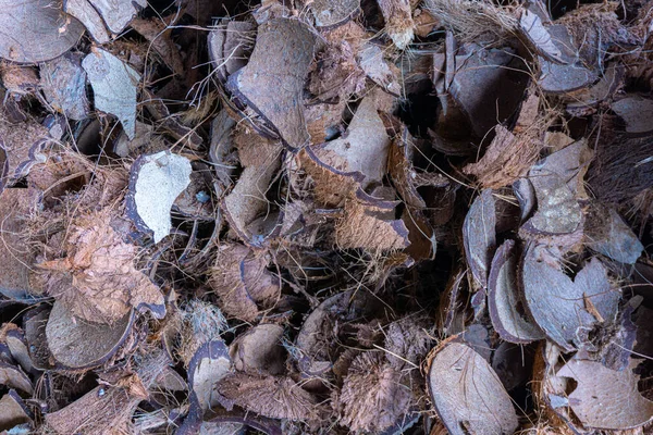 Högen Med Kasserade Skal Kokosmjölk — Stockfoto