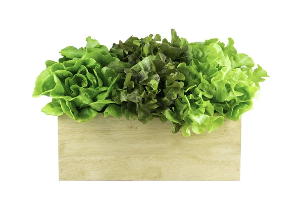 Lechuga Fresca Cajas Madera Suelo Blanco Trasero Con Carril Peaje — Foto de Stock