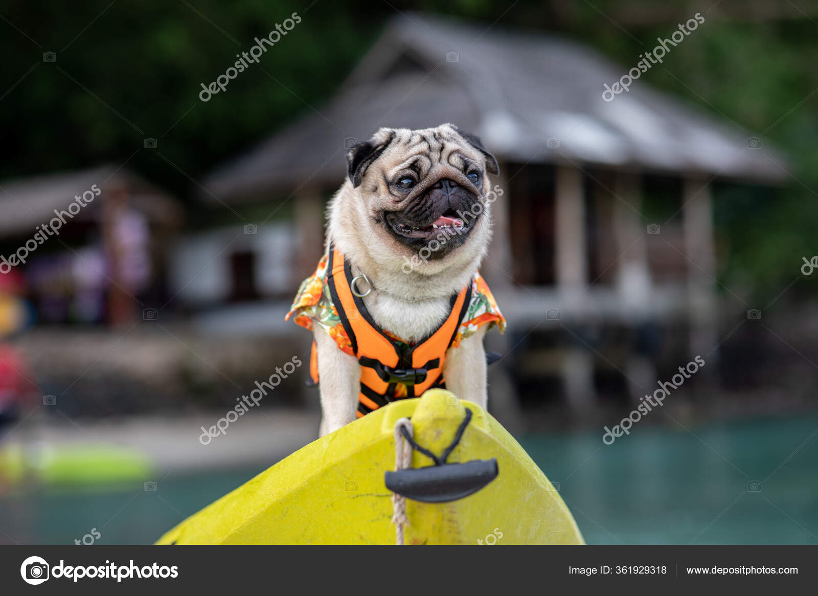 Pug in life hot sale jacket