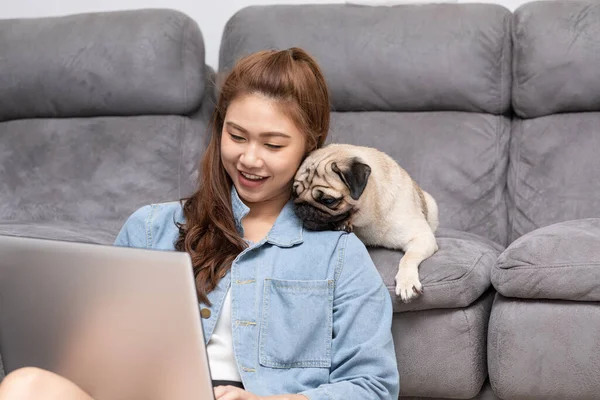 Beautiful Attractive Asian Woman Typing Working Laptop Dog Pug Breed — Stock Photo, Image