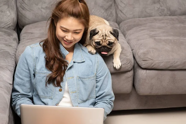 Beautiful Attractive Asian Woman Typing Working Laptop Dog Pug Breed — Stock Photo, Image