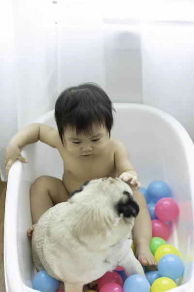 Cute Sweet Adorable Asian Baby Sitting Bathtub Plastic Balls Smiling — стоковое фото