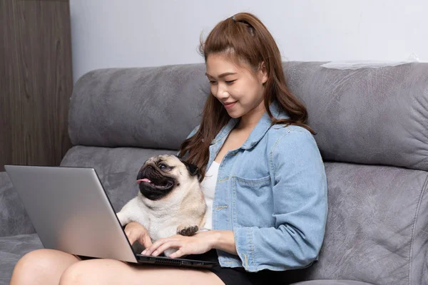 Beautiful Attractive Asian Woman Typing Working Laptop Dog Pug Breed — Stock Photo, Image