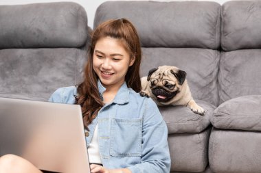 Güzel Asyalı Kadın dizüstü bilgisayarında köpek Pug cinsi ile çalışıyor kanepeye uzanıyor ve ekrana bakıyor mutluluk ve rahatlık hissediyor, arkadaş canlısı kavram.