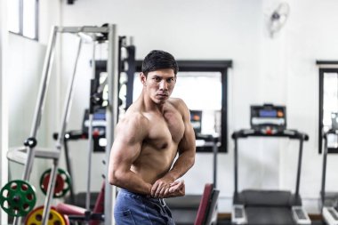 Vücut geliştiren yakışıklı Asyalı erkekler beden eğitimi dersinde poz veriyorlar. Çok güçlü ve güçlüler, vücut geliştirici kavram.