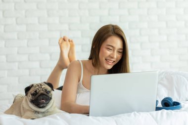 Kadın dizüstü bilgisayarında köpek Pug cinsi köpekle çalışıyor ve yatakta uzanıyor ve ekrana bakıyor mutluluk ve rahatlık hissediyor, dost canlısı köpek konsepti