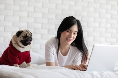 Dizüstü bilgisayarda köpek Pug cinsi köpeklerle yazan ve çalışan bir kadın dizlerinin üzerine çöküp, ekrana bakıyor. Mutluluk ve konforlu, dost canlısı köpek konsepti.