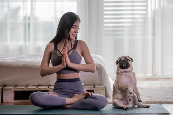 woman practice yoga with dog pug breed enjoy and relax with yoga in bedroom,Recreation with Dog Concept