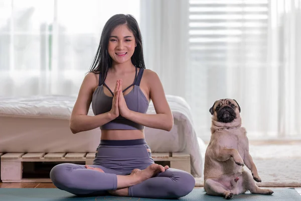 Wanita Berlatih Yoga Dengan Anjing Pug Breed Menikmati Dan Bersantai — Stok Foto