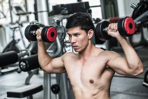 Strong Athletic Asian Man Workout Dumbbell Curl Concentration Muscle Upper — Stock Photo, Image