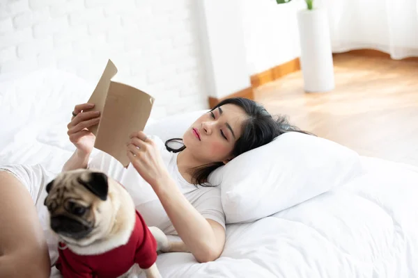 아시아의 강아지가 침실에서 편안하고 편안하게 번식하는 개념이 읽는다 — 스톡 사진