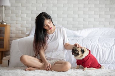 Güzel Asyalı genç bir kadın köpeğiyle oynuyor ve köpek pug cinsiyle gülümsüyor. Yatak odasında komik ve ciddi bir yüze bakıyor. Mutluluk ve rahatlama hissediyor.