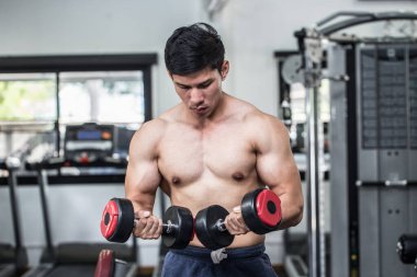 Halter kıvrımlı kas konsantrasyonu ile güçlü bir Asyalı Atletik Adam vücut geliştirme için güçlü ve güçlü hissediyor, vücut geliştirici konsept