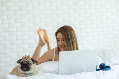 Kadın dizüstü bilgisayarda köpek Pug cinsi köpekle çalışıyor ve yatakta uzanıyor ve ekrana bakıyor evde mutlu ve rahat hissediyor, evde dost canlısı köpek kavramı