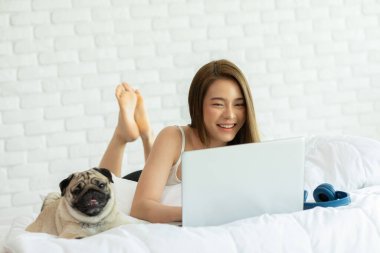 Kadın dizüstü bilgisayarda köpek Pug cinsi köpekle çalışıyor ve yatakta uzanıyor ve ekrana bakıyor evde mutlu ve rahat hissediyor, evde dost canlısı köpek kavramı