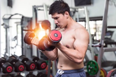 Halter kıvrımlı kas konsantrasyonu ile güçlü bir Asyalı Atletik Adam vücut geliştirme için güçlü ve güçlü hissediyor, vücut geliştirici konsept