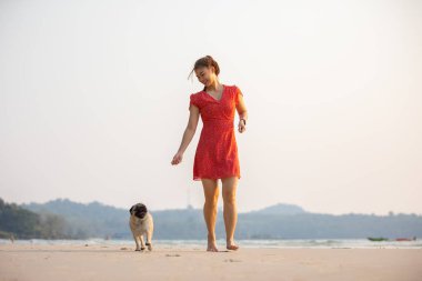Köpek pug cinsi sahibinin yanında koşuyor. Çok eğlenceli ve mutlu. Köpek tatili konsepti.