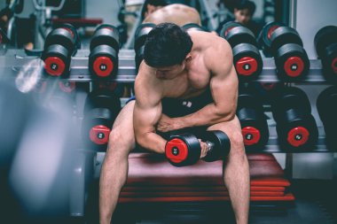 Halter kıvrımlı kas konsantrasyonu ile güçlü bir Asyalı Atletik Adam vücut geliştirme için güçlü ve güçlü hissediyor, vücut geliştirici konsept