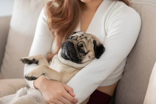 Mulher Segurando Raça Cão Pug Dormir Seu Braço Relaxar Confortável — Fotografia de Stock