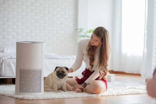 Woman Playing Dog Pug Breed Air Purifier Cozy White Bed — Stock Photo, Image