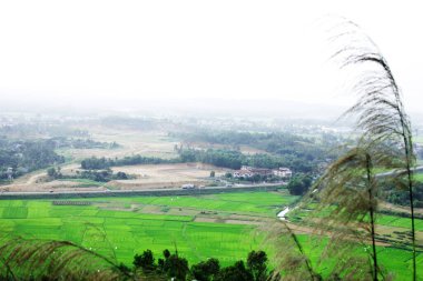 Quang Ngai yukarıdan görüldü.