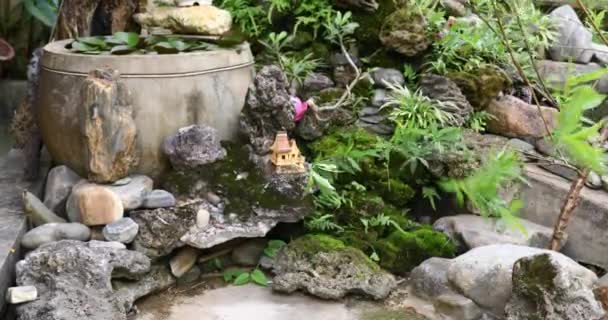 Roccia Decorativa Giardino Piccolo Paesaggio Nel Giardino Video — Video Stock