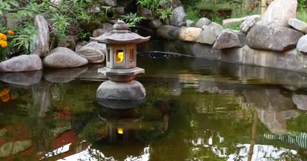 Water Flow Rock Crevices Small Landscape Garden Video — Stock Video