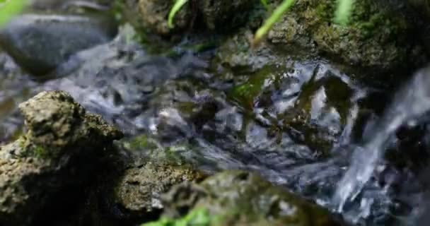 Flujo Agua Grietas Rocosas Pequeño Paisaje Jardín Vídeo — Vídeos de Stock