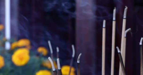 Primo Piano Bruciare Incenso Credenze Spiritualità Cultura Buddhista Video — Video Stock