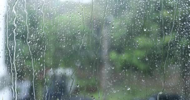 Gouttes Pluie Regardant Travers Verre — Video