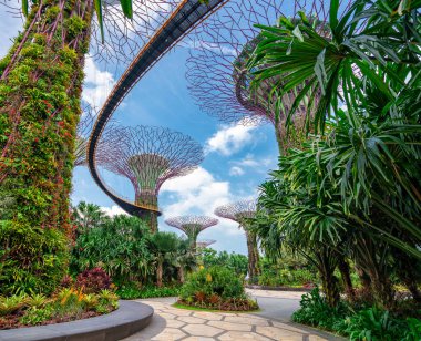 Singapur 'da kimsesiz bir bahçe.