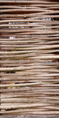 Dal çitleri birbirine dolanmış. İnce çubuklar tek bir doğal çite örülmüş..