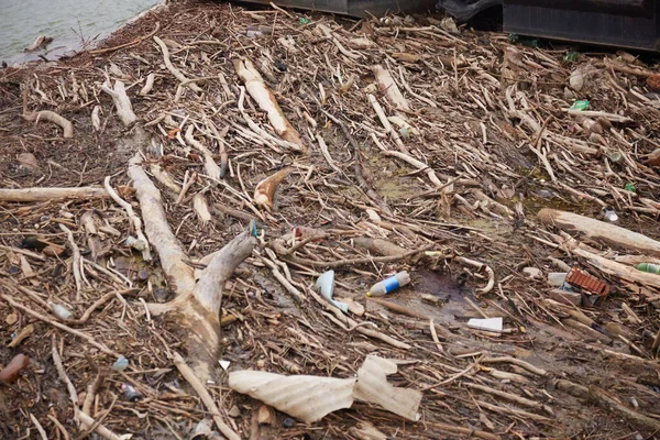 Plastik Çöpler Atıklar Nehirdeki Ağaçlar Çevre Kirliliği Gezegenimiz Için Korkunç — Stok fotoğraf