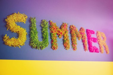 Kağıt çimlerden parlak harfler. Kağıdın üzerindeki afişin renkli harfleri.