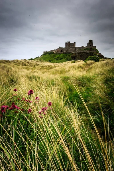 Castillo Bamburgh Costa Northumberland — Foto de Stock