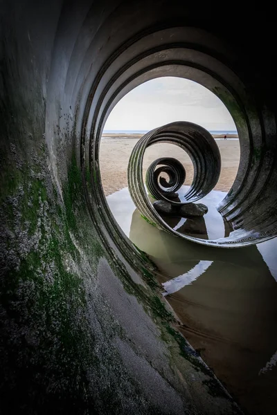 Escultura Concha Uma Praia — Fotografia de Stock