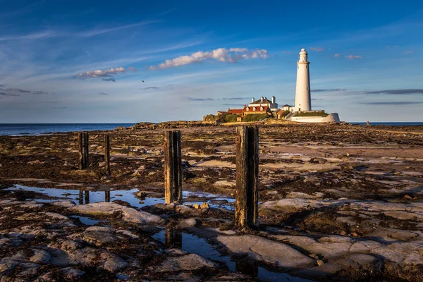 Mary Lighthouse Norte Whitley Bay Costa Nordeste Inglaterra Maré Baixa — Fotografia de Stock