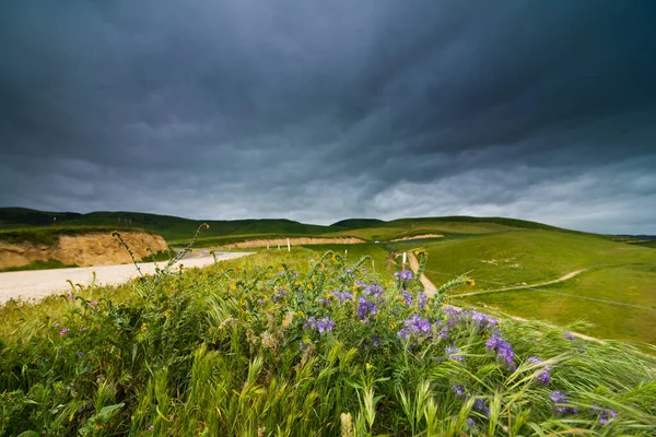 Çimenli ve çiçekli manzara