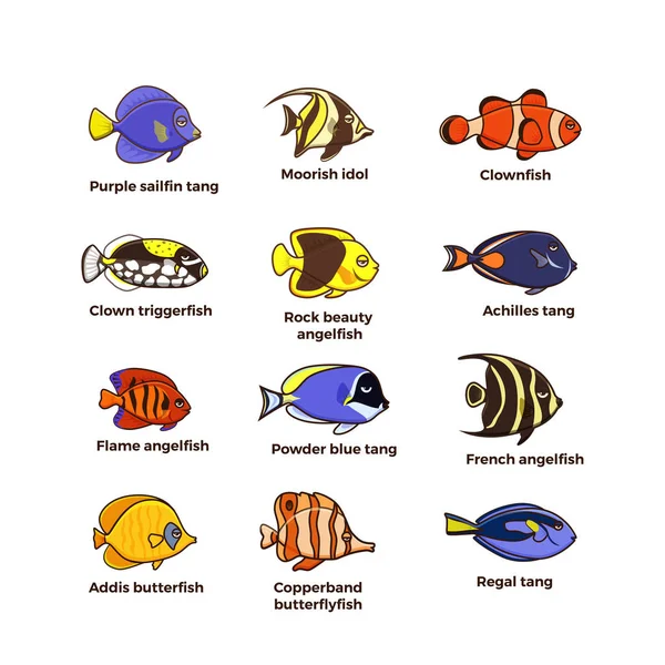 Lindo conjunto de iconos de ilustración de vectores de peces. Peces tropicales, peces marinos , — Vector de stock