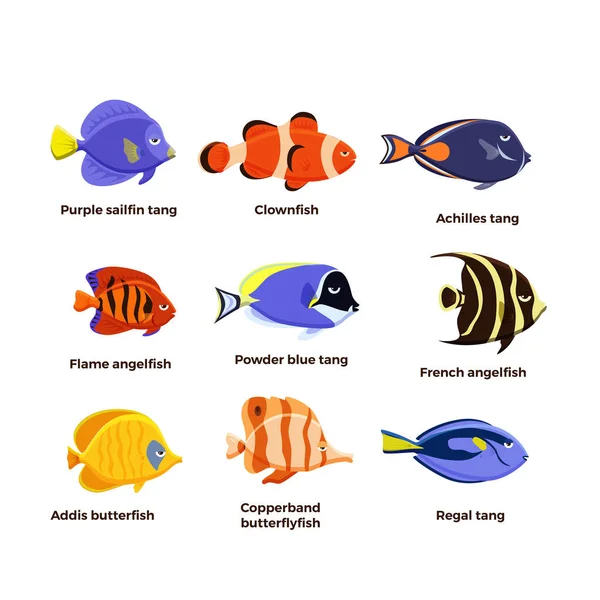 Grazioso pesce vettore illustrazione icone set. Pesci tropicali, pesci di mare, pesci d'acquario  . — Vettoriale Stock