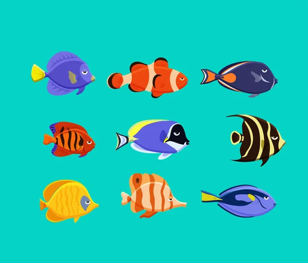 Lindo conjunto de iconos de ilustración de vectores de peces. Peces tropicales, peces de mar, peces de acuario . — Archivo Imágenes Vectoriales