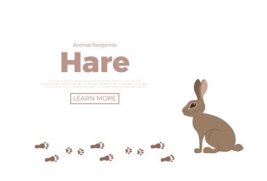 Orman hayvanları ile ayak parmak karikatür tarzı renkli vektör