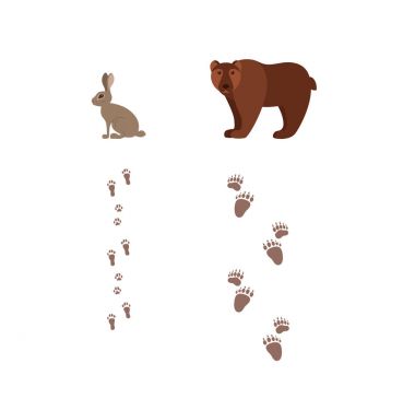 Orman hayvanları ile ayak parmak karikatür tarzı renkli vektör