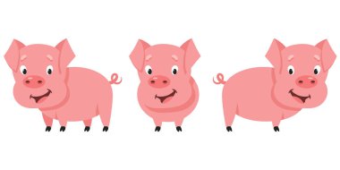 Farklı pozlarda küçük bir domuz..