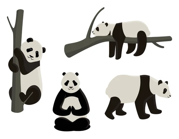 Conjunto vectorial de pandas en diferentes poses . — Vector de stock