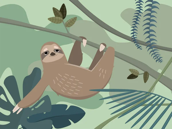 Cute sloth in jungle rainforest. — Stock Vector